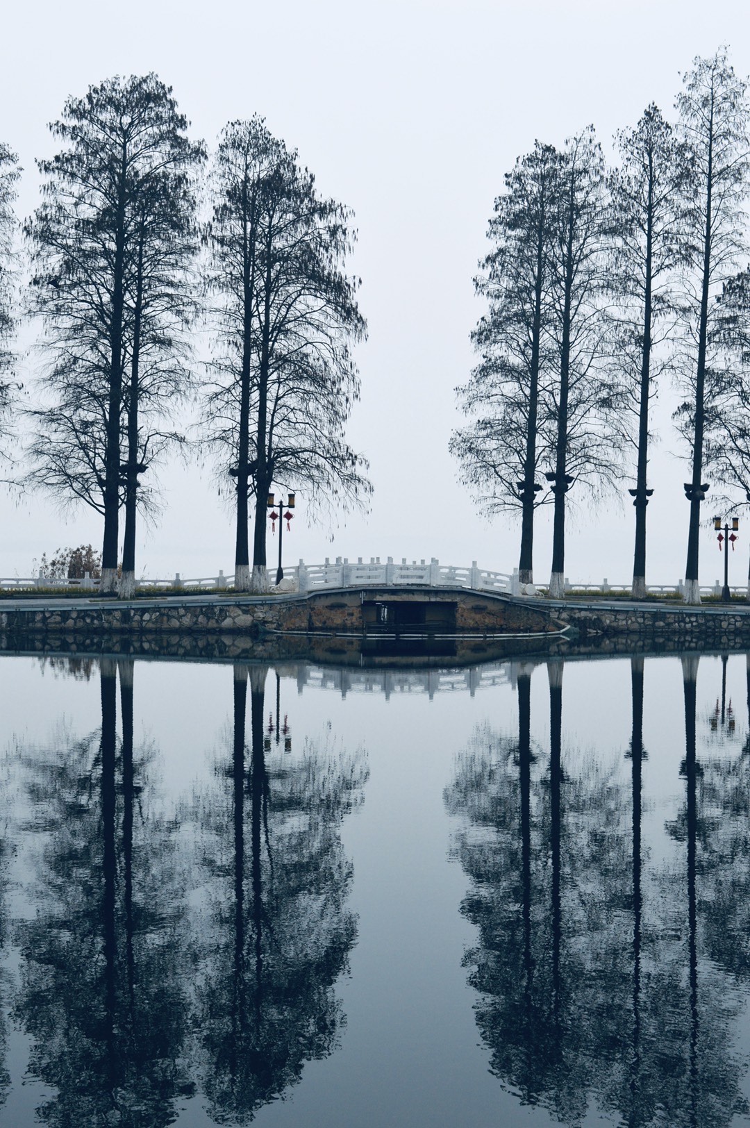 Photography by Yanfei Dai